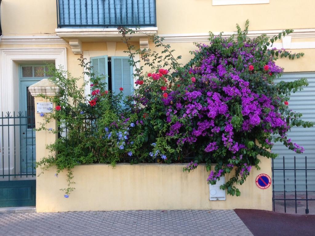 La Maison Au Soleil Appartement